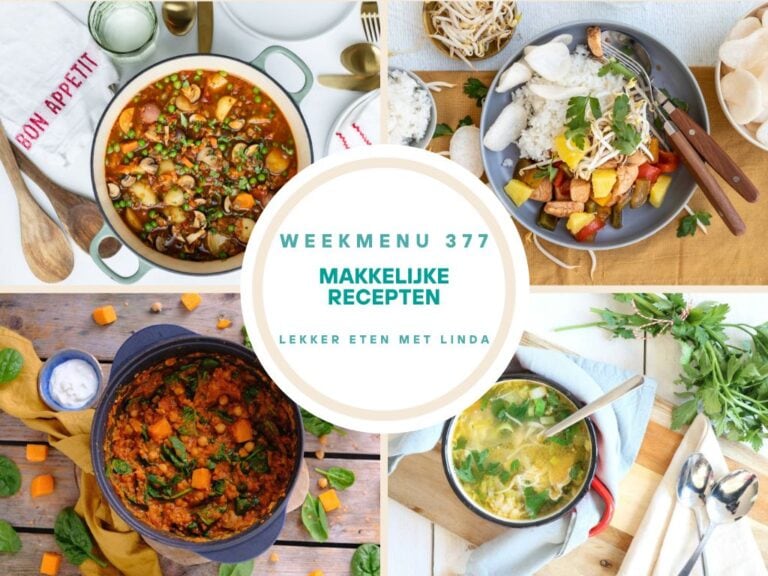 Weekmenu makkelijke recepten 377